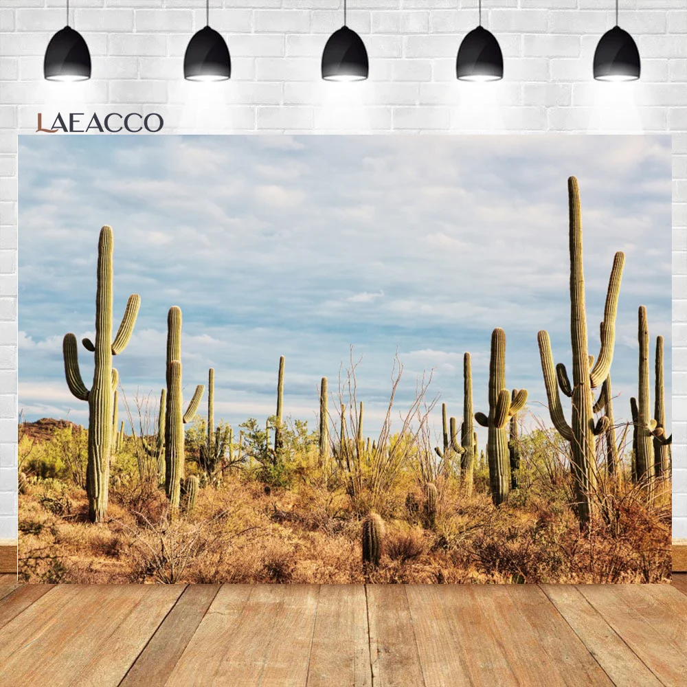 Laeacco Dykuma Dykuma Fotografijos Fonas Žalias Kaktusas Augalų Dekoracijos Pobūdžio Meksikos Vakarų Teminius Šalies Portretas Fone